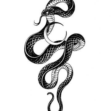 1611232614_49-p-zmeya-tatu-eskiz-obraz-49 — копия.jpg