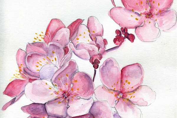 1615886887_20-p-sakura-tatu-eskizi-22.jpg