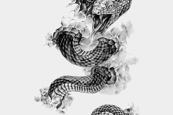 1655430592_2-papik-pro-p-tattoo-drawings-black-and-white-snake-2