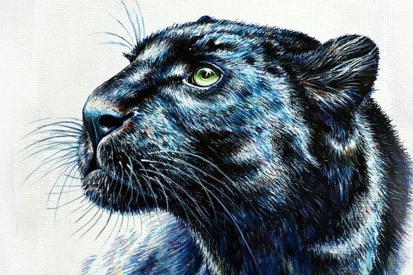 1659096414_33-papik-pro-p-art-drawings-panther-33
