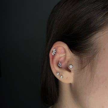 Kuratorska kompozycja: helix, conch i płatek ucha