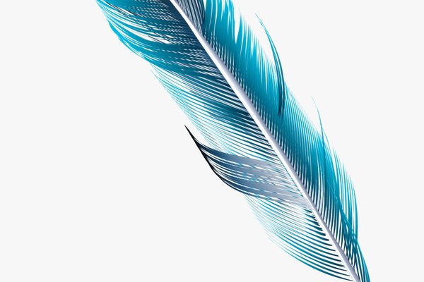 323-3233971_feather-watercolor-png-download-transparent-png