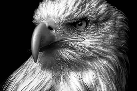 37a613223eb9407b2a7835898f921ace.jpg