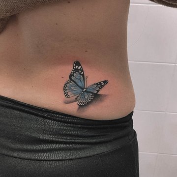 3D_Butterfly-19