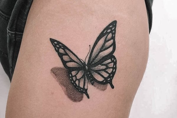 3D_Butterfly-21