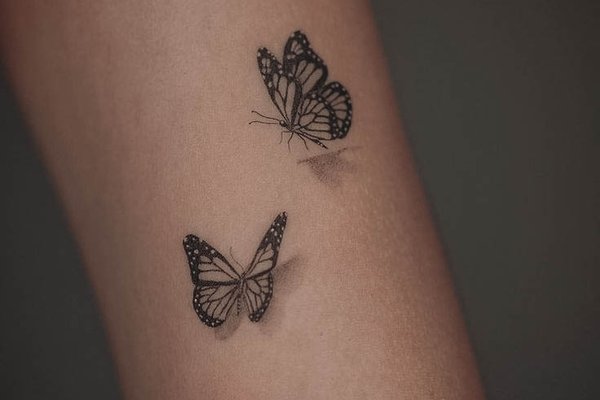 3D_Butterfly-27