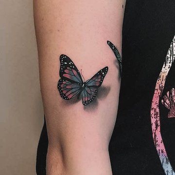 3D_Butterfly-35