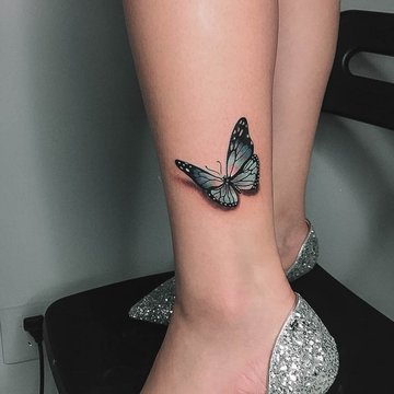 3D_Butterfly-36