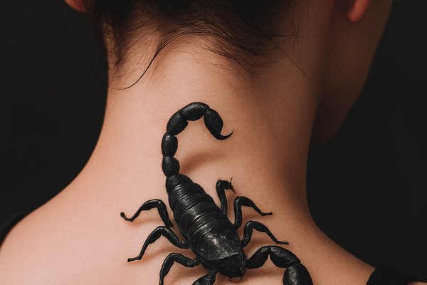 3D_scorpion-31
