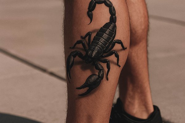 3D_scorpion-32