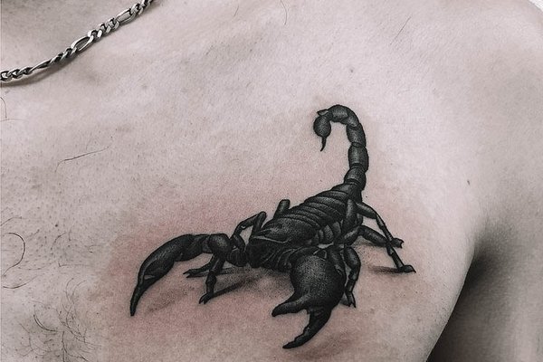 3D_scorpion-7