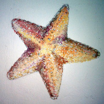8809_1543752.jpg