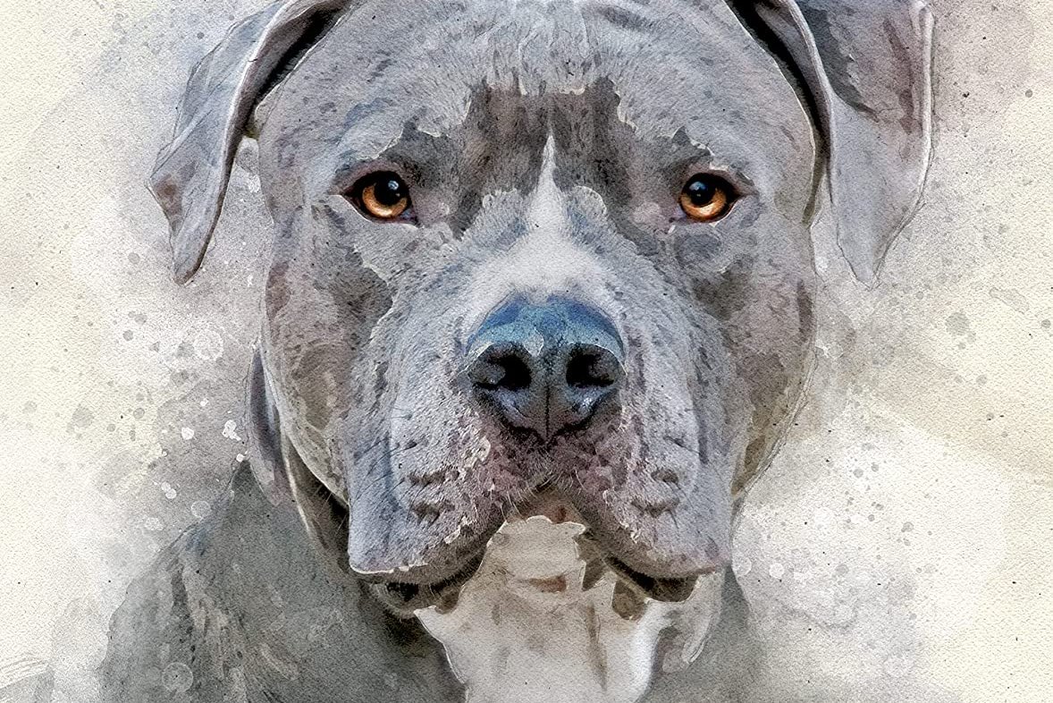 91kiprjTzYL._SL1500_