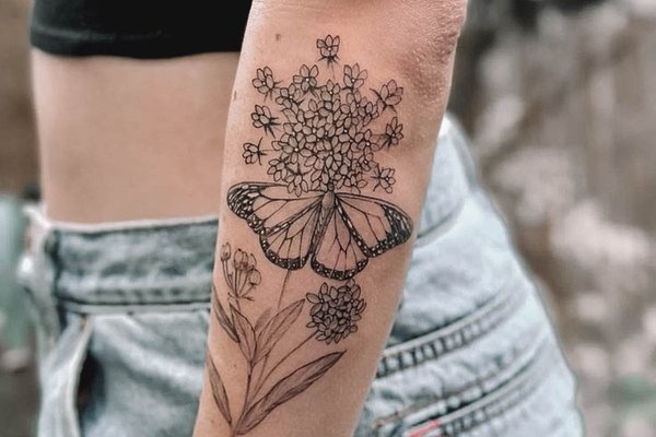 Butterfly_with_Flower-21