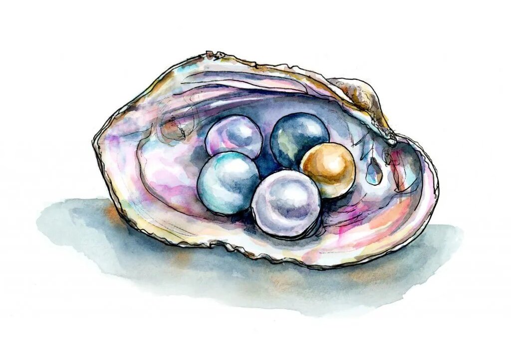 Colorful-Pearls-Clam-Shell-Watercolor-Illustration-Print-Detail