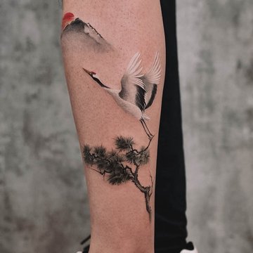 Crane-29