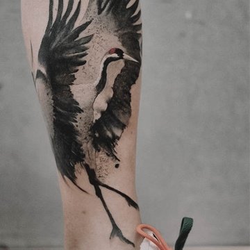 Crane-31