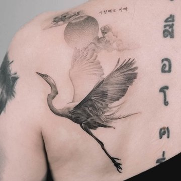 Crane-43