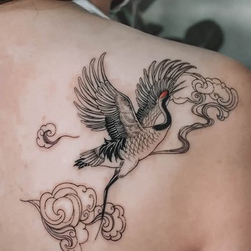 Crane-50