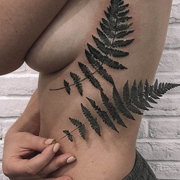 Fern-27