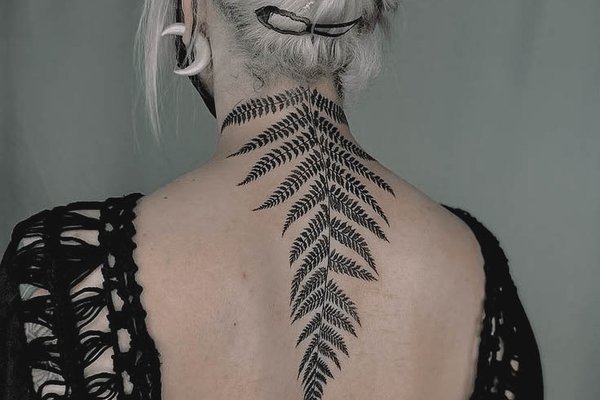 Fern-34