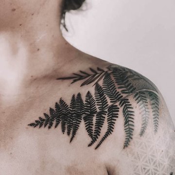 Fern-39