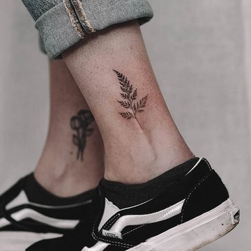 Fern-43