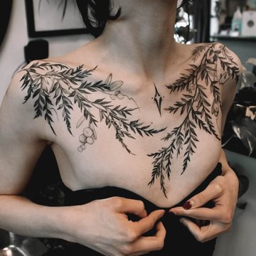 Fern-46