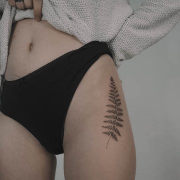 Fern-54