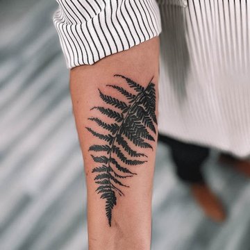 Fern-55