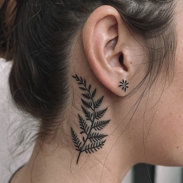 Fern-56