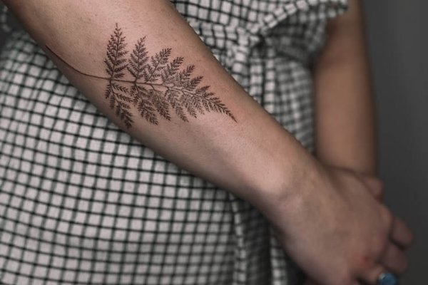 Fern-57