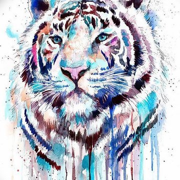 Фото-тату-белый-тигр-28.07.2019-№043-white-tiger-tattoo-tatufoto.com_.jpg