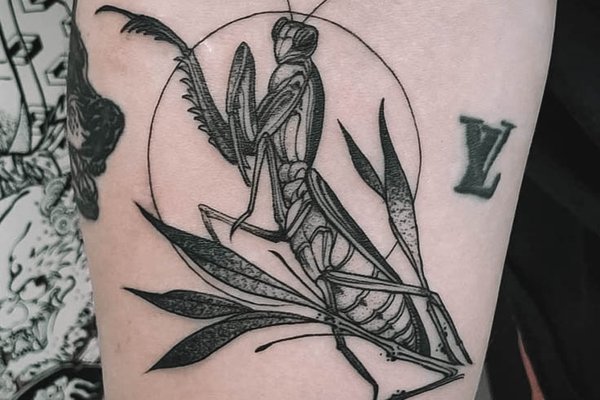 Mantis-10
