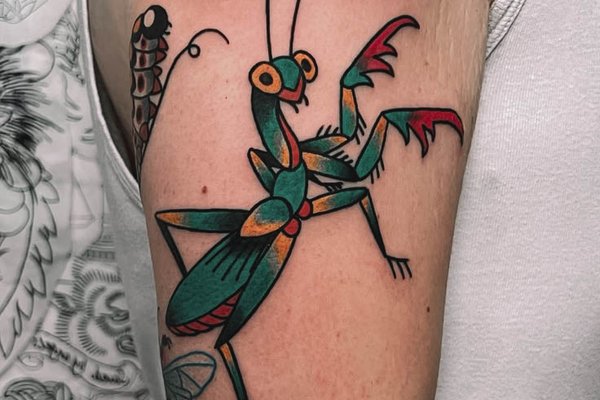Mantis-20