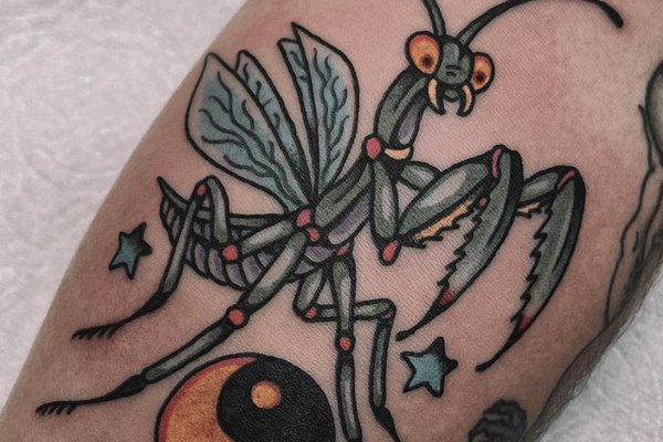 Mantis-30