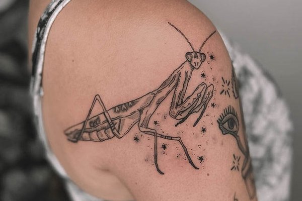 Mantis-41