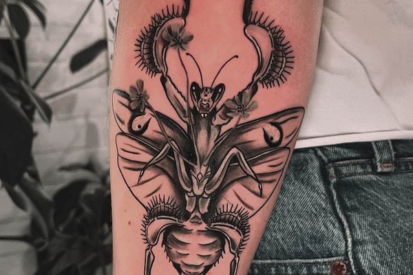 Mantis-44