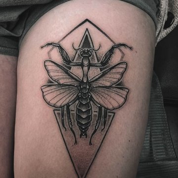 Mantis-52