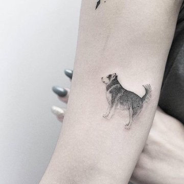 Micro-Husky-tattoo-by-Lindsay-April.jpg