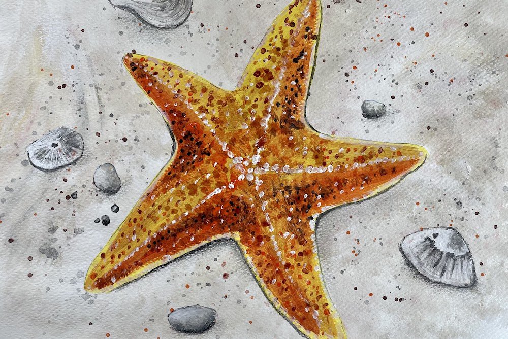 Starfish.jpg