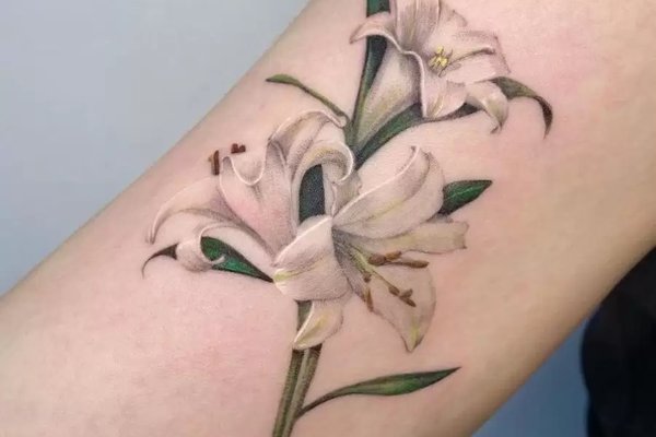 White-Lily-Tattoo-899x1024
