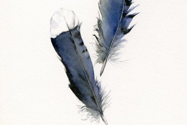 a038a3dea4a39d0a09da247d029429cc