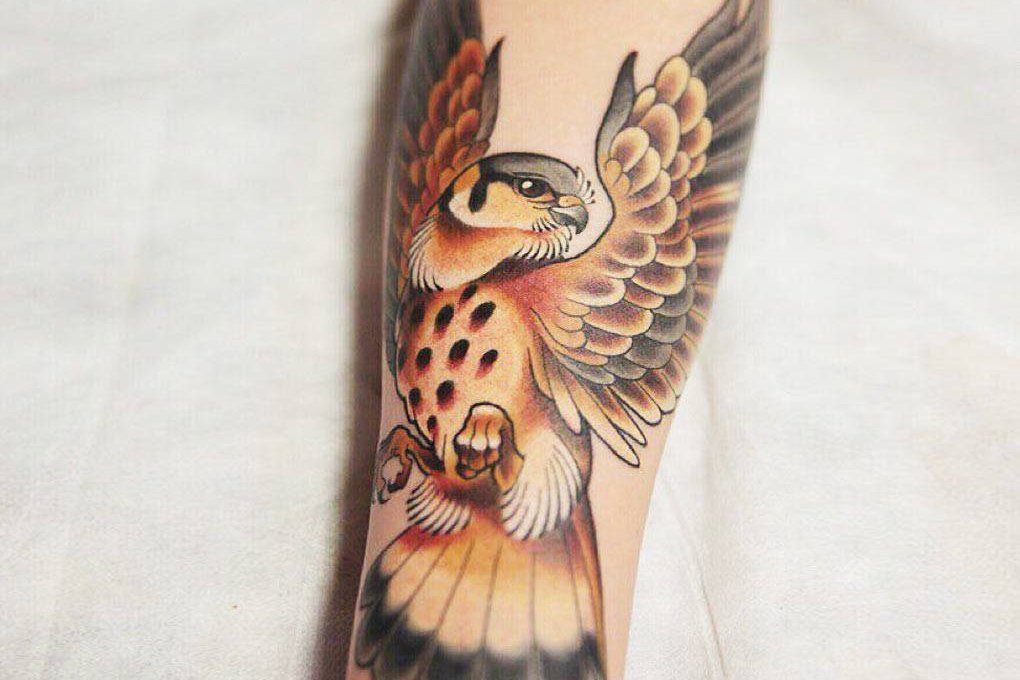 artist--kate-holt--hawk-tattoo_18308150637