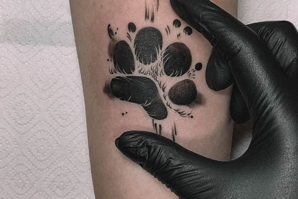 dogs paw-015701