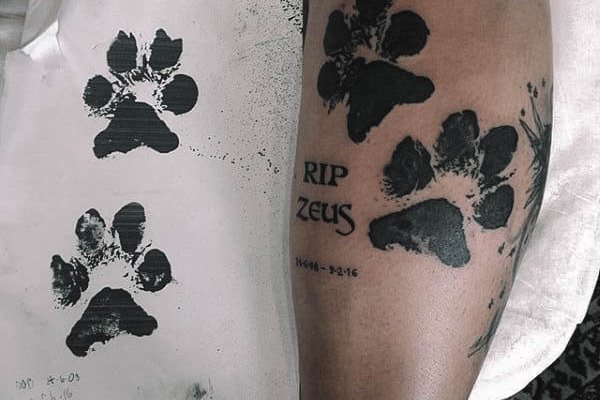 dogs paw-38