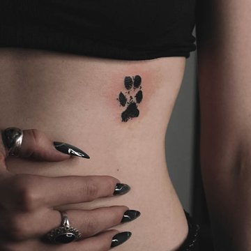 dogs paw-512