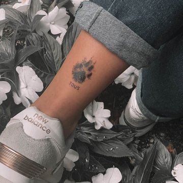 dogs paw-61
