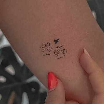 dogs paw-746879