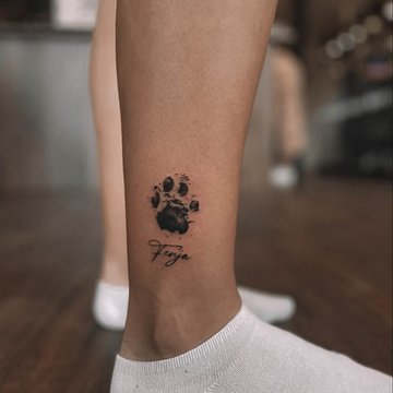 dogs paw-838